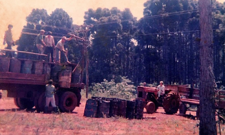 Todo tiene un Principio - Kuhn Agroforestal